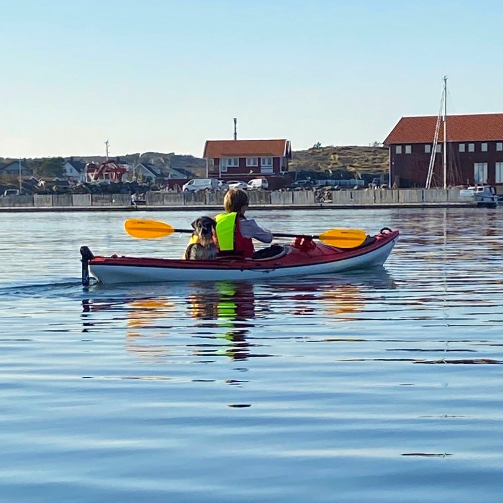 SeaBird Nansen